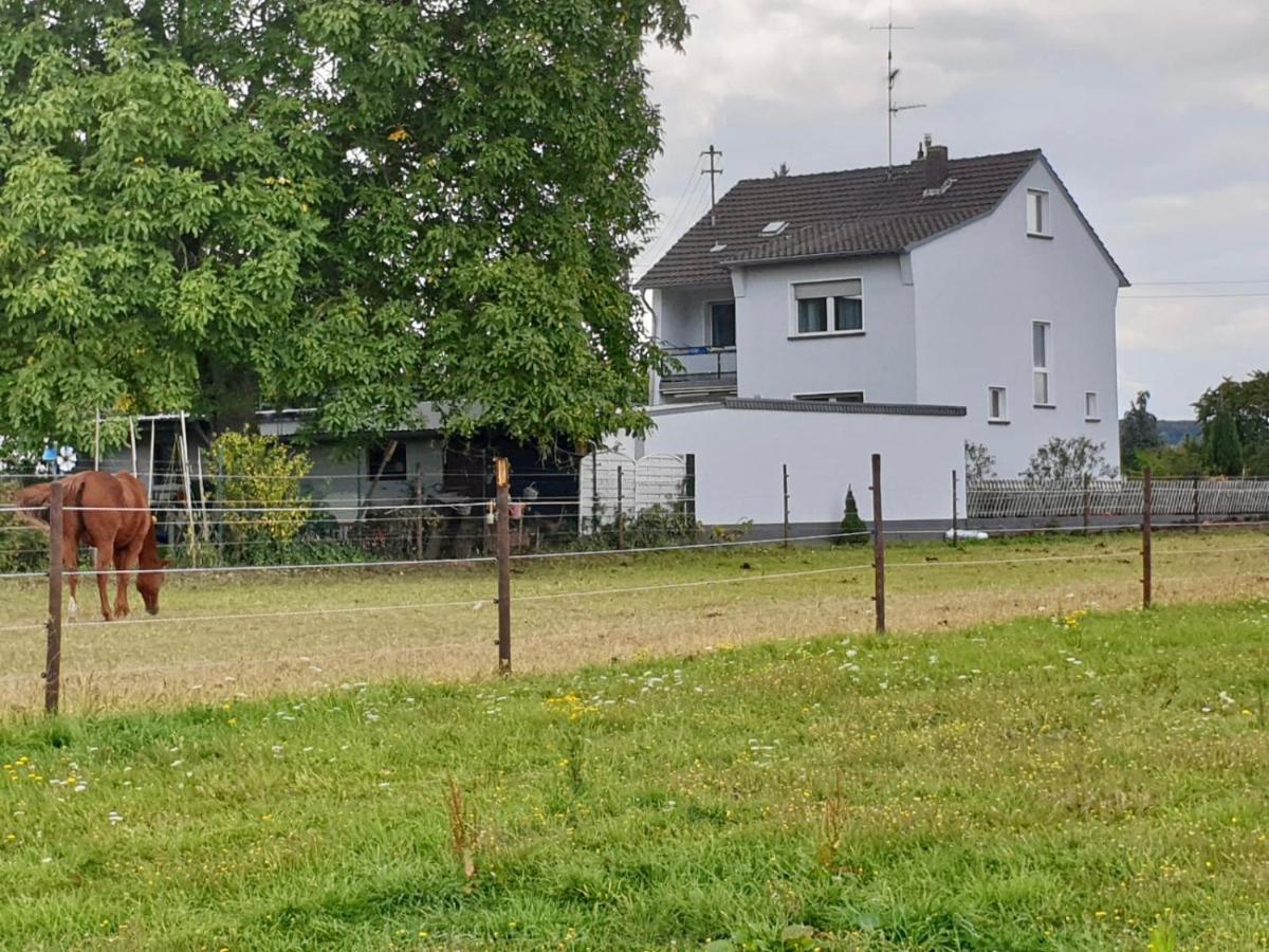 Haus Im Gruenen Villa Борнхайм Екстериор снимка